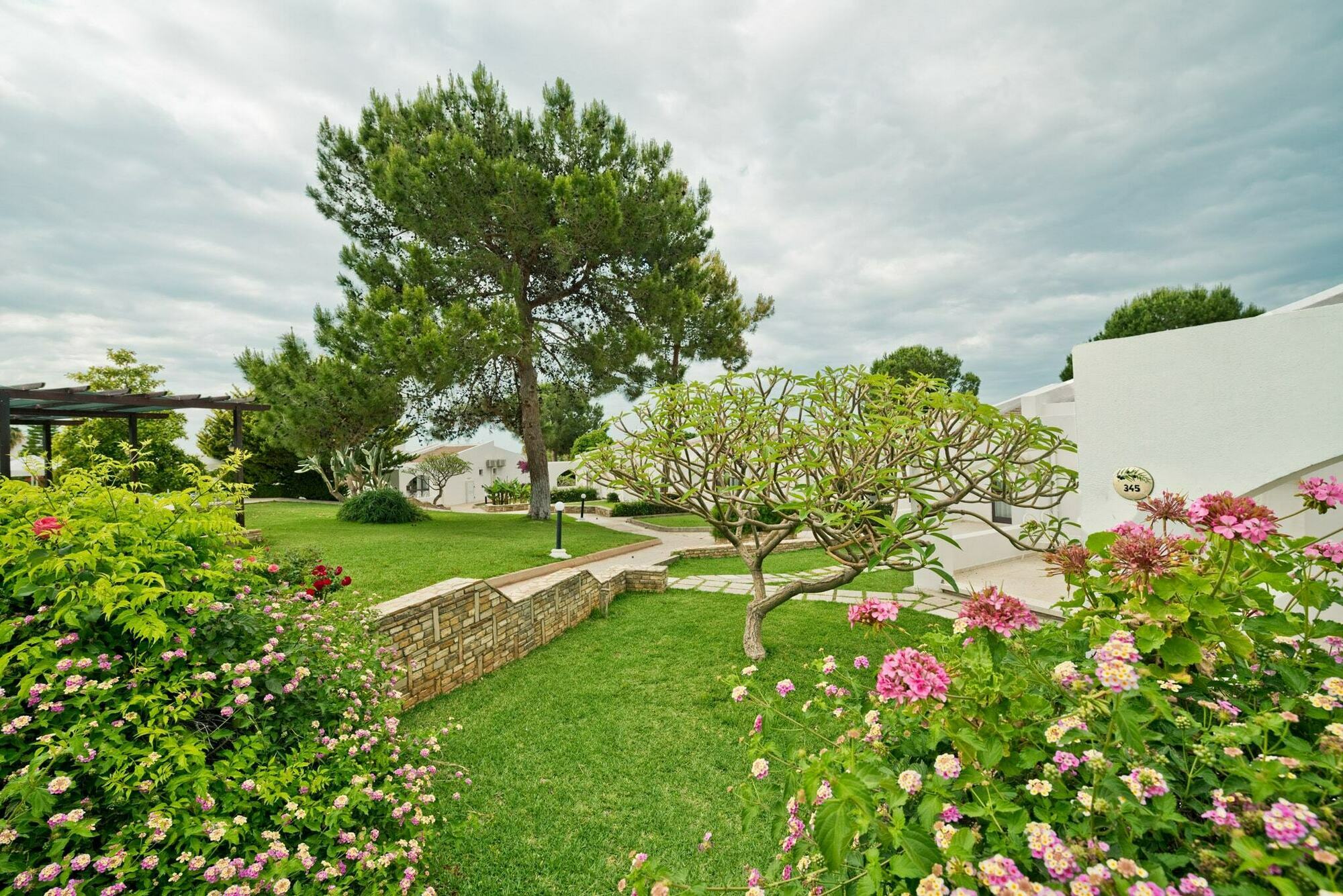 The Olive Tree Hotel Saint Epiktitos Exterior foto