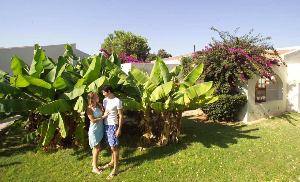 The Olive Tree Hotel Saint Epiktitos Exterior foto