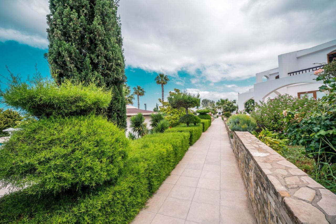 The Olive Tree Hotel Saint Epiktitos Exterior foto