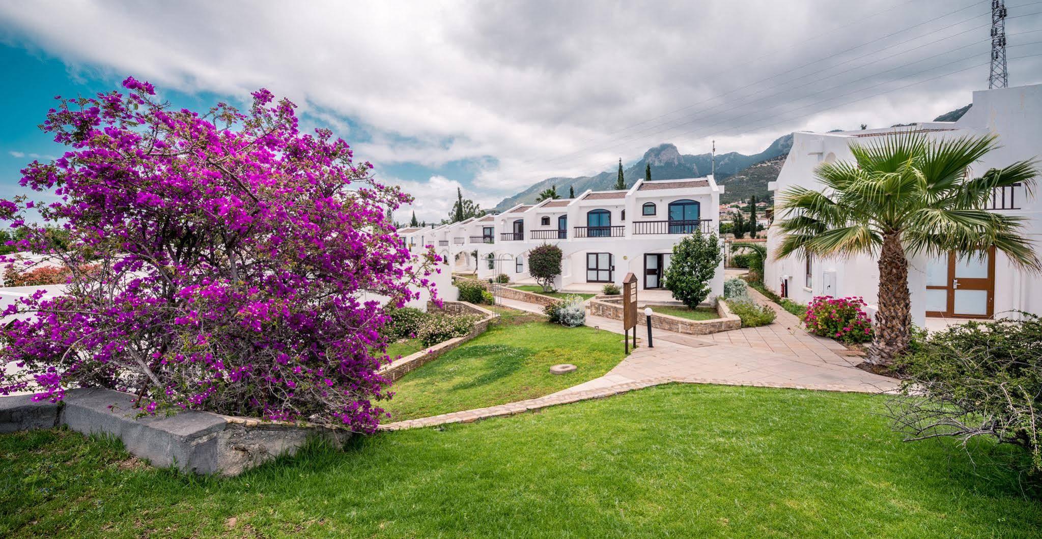 The Olive Tree Hotel Saint Epiktitos Exterior foto