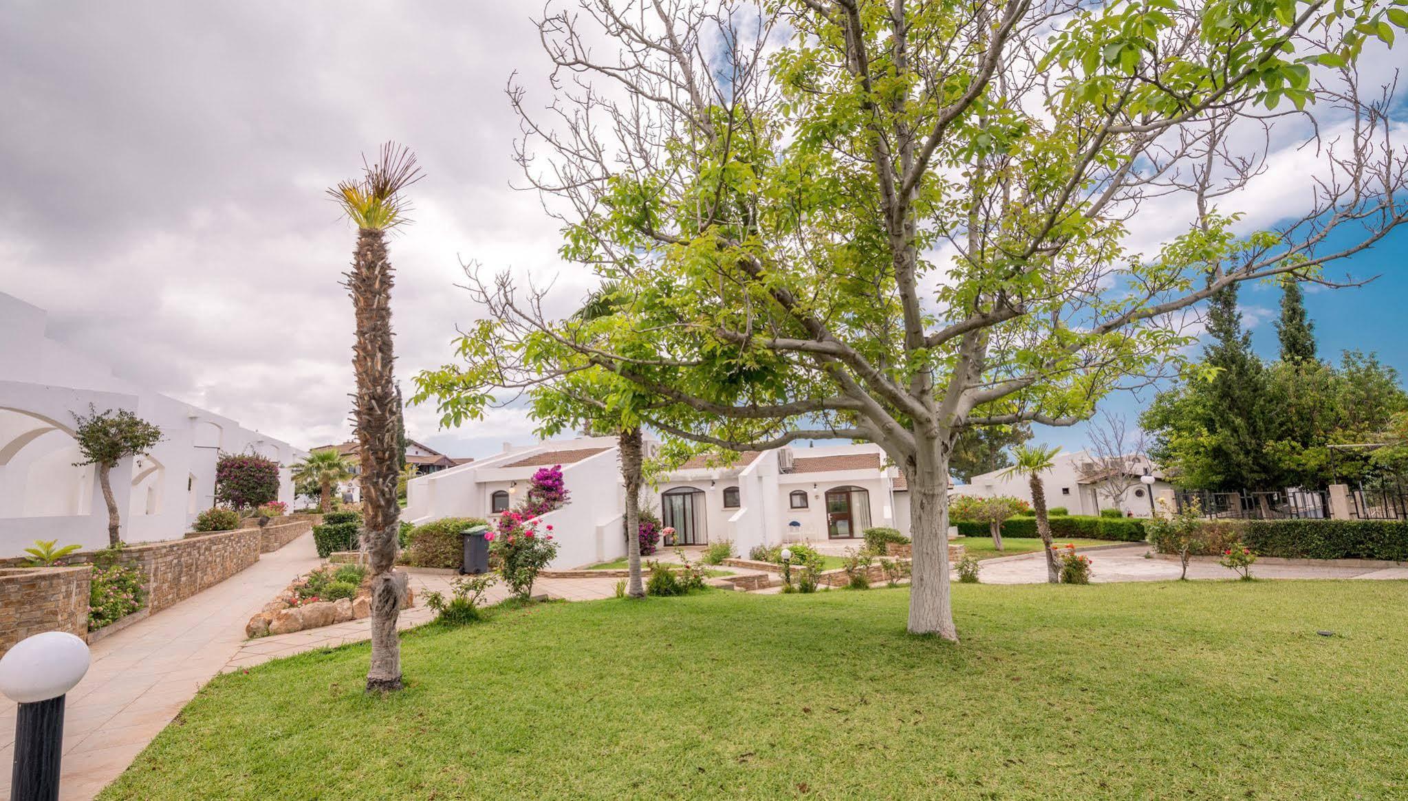 The Olive Tree Hotel Saint Epiktitos Exterior foto